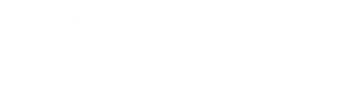 Willcox Rocha Digital Marketing